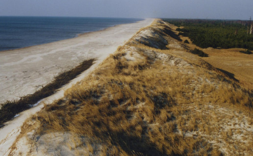 11_Apsauginis kopagubris.jpg